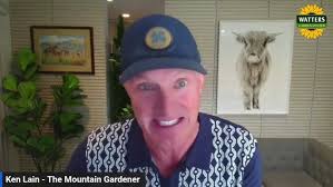 🌸 Making Trees Bloom Better