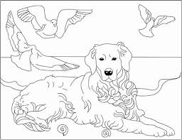 192156 Y7mmx5c6h8m1vbob6jvbkemfcyev2n Almare H201857 L Jpg 500 385 Disegni Disegni Da Colorare Immagini