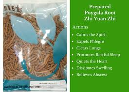 Image result for Polygala schinziana