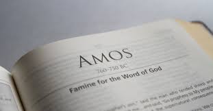 This is the only time that amos will appear in the old testament. Amos Complete Bible Book Chapters And Summary New International Version