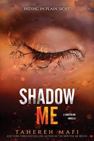 Shadow Me #4.5