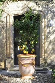 Epingle Sur Le Jardin