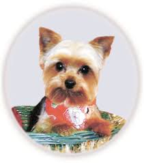 Apple Barrel 7-2002B