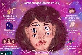 Rita z, goldstein's phd, director, neuropsychoimaginf of addiction and related conditions research program at mount sinai… Lsd Effects Risks And How To Get Help