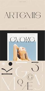 Share photos and videos, send messages and get updates. Artemis Semi Serif Typeface 751890 Display Font Bundles In 2020 Serif Typeface Typeface Typography