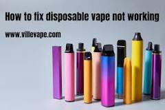 ARE RUBY DISPOSABLE GOOD?