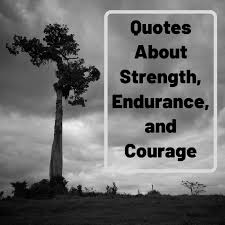 There are quotes about perseverance and never giving up, hard times quotes and sayings, and never give up on your dreams quotes. My Favorite Quotes About Strength Courage And Not Giving Up Holidappy