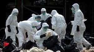 Gripe a (h1n1) en asia gripe a (h1n1) en japón gripe a (h1n1) en china sars epidemia pandemia gripe aviaria corea del sur. Hgysjabiynx1fm