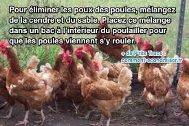 Epingle Sur Astuces Pour Chiens Chats