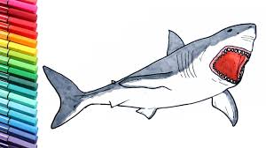 We did not find results for: Shark Drawing And Coloring Pages For Children Megalodon Dinosaur Coloring Page Youtube