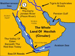 Four Eden Garden Rivers In 2021 Black History Education Black History Books Bible Facts