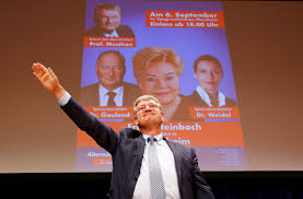Presented here are all of the u.s. German Election Anti Islam Afd Party That Worked With U S Ad Agency Predicted To Take Third Place