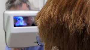 Image result for Visual Fixation