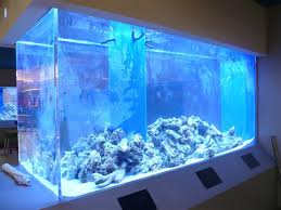 Maybe you would like to learn more about one of these? Custom Aquarium Big Fish Tanks Cool Fish Tanks Fish Tank