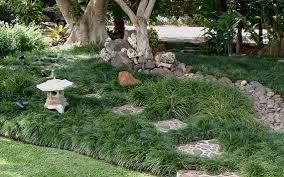 Ophiopogon Japonicus Nana Dwarf Mondo Grass 10 Avec Images Amenagement Cour Jardin Exterieur Paysages Tropicaux
