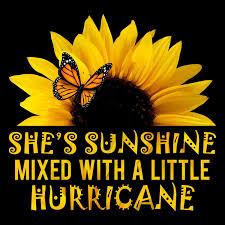Free Free 175 Sunflower Hurricane Svg SVG PNG EPS DXF File