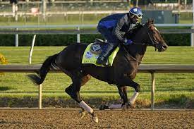 Rock Your World Gives Ron Mcanally Shot At Kentucky Derby Win Los Angeles Times