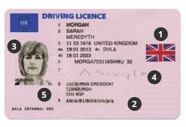 Please it realy motivates me. How To Spot Fake Id Fake Passports Licences Zzap