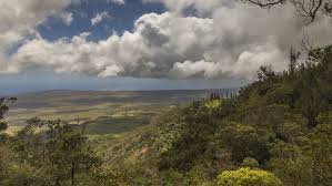 / manggala kiat ananda,informasi lowongan kerja di pt. Four Seasons Hotels And Resorts Luxury Hotels Four Seasons