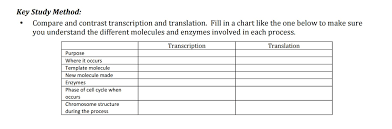 Solved Compare And Contrast Transcription And Translation