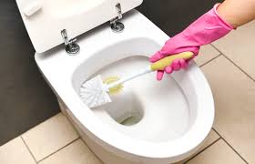 Check spelling or type a new query. Easy Natural Toilet Cleaner Recipes Lovetoknow