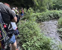 A Montepiano il “Luogo del Bel Sentire” alla Fonte del Romito. Per  linaugurazione una passeggiata sensoriale lungo il Setta