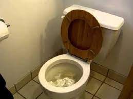 Scariest Moment Flushing The Toilet At Someone Else S House And Seeing The Water Rise Clogged Toilet Toilet New Toilet