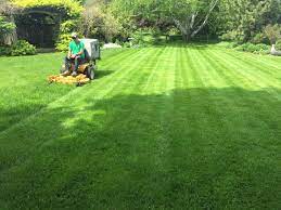 Lawn Care Services In Barrie Blue Mountain Collingwood And Wasaga Beach