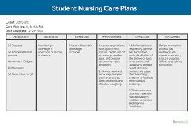 nursing care plan ncp ultimate guide and database