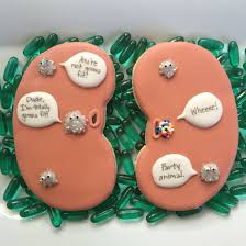 Kidney Stone Humor Cookies These Were Get Well Cookies But They Would Be Funny For Medical Nurse Or Doc Kidney Stones Funny Kidney Stones Kidney Stone Meme