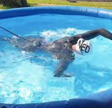 Jun 23, 2021 · konkurrenz für wunram, wellbrock, beck und muffels diese 50 schwimmerinnen und schwimmer starten in tokio über 10 km Olympic Champion Sharon Van Rouwendaal Maintains Training In A Paddling Pool Other Sport Express Co Uk