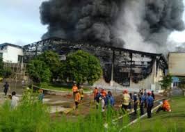 Daging ini disebut budidaya karena memang ditumbuhkan di laboratorium. Pengukuhan Korwil V Korcam Lms Kompak Oleh Ketua Dpc Lutfi Bamala Di Desa Tegalwaru Kecamatan Plered Fokus Lensa Fokuslensa Com