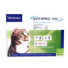 Rescue poor cat survived on street wih terrible status: Effipro Plus Topical Solution For Cats And Kittens 8 Weeks And Older 3 Doses