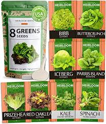 Amazon Com Lettuce Salad Greens Seed Vault Non Gmo Vegetable Seeds For Outdoors Or Indoors Romaine Butter Iceberg Lettuce Seeds For Planting Kale Spinach More Hydroponic Home Garden