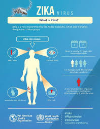 Pin On Genetic Literacy Human Genetics