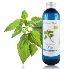 Comment profiter des bienfaits de l'ortie dès votre retour de cueillette ? L Ortie Quels Sont Les Bienfaits De Cette Plante Ma Coiffeuse Afro