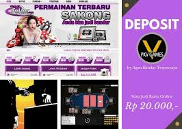 Pin Di Agen Poker Pkv Deposit Pulsa