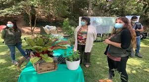 10/04/2019 by cra peñas · ml. Municipio De Vina Del Mar Invita A Las Familias A Participar En Talleres De Educacion Ambiental Online Radio Valparaiso