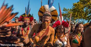 Indigenous reserves and the future of the amazon. Guardians Of The Amazon Protect Indigenous Peoples Rights In The Fight To Protect The Climate And Our Planet Greenpeace Usa