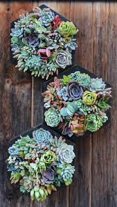 You can build frames for your. Hanging Succulents Make A Vertical Garden Easier Than Ever To Achieve