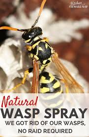 Serve with any dish soap. How To Deter Wasps From Nesting Arxiusarquitectura