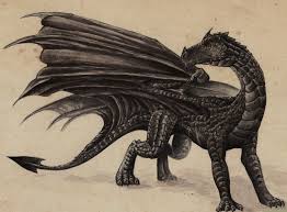 He has a dragon backing him up. Top 10 Dragons In Harry Potter Harry Potter Creatures Harry Potter Dragon Types Of Dragons