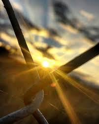 Sunrise Through The Fence Sunrise Photography Fence