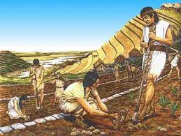 Agricultura e Irrigación
