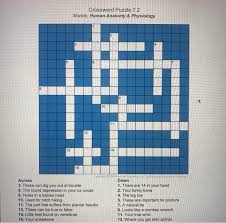 The bones of the skeleton store energy in the form of lipids in areas of yellow bone. Solved Crossword Puzzle 7 2 Marieb Human Anatomy Physi Chegg Com