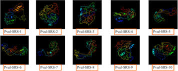 Download chromo xy mac game torrent full version download chromo xy for mac os games. Identification And Characterization Of Srs Genes In Phaseolus Vulgaris Genome And Their Responses Under Salt Stress Springerlink