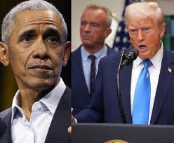 Liz Cheney/Adam Kinzinger Against Trump