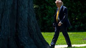 trump steuer