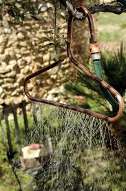 Epingle Sur To Do Garden