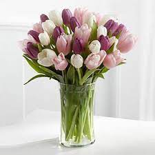 Send your wishes to your loved ones for quick recovery. Send Get Well Soon Flowers Get Well Soon Gifts Online Ferns N Petals